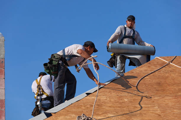 Best Roof Maintenance Services  in Tucumcari, NM